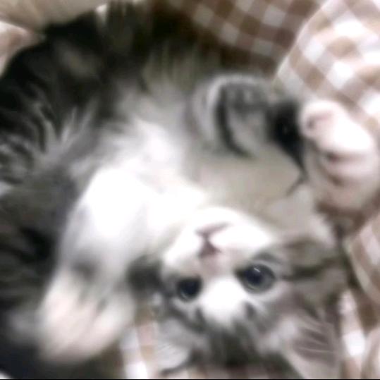 小Y.