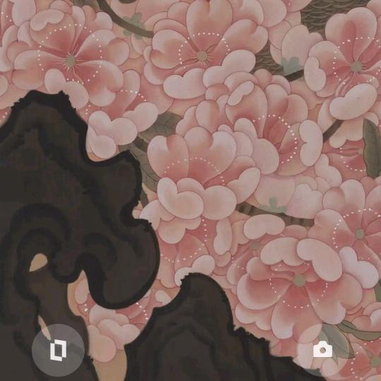 冲浪选手