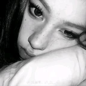 犯困的蛋挞
