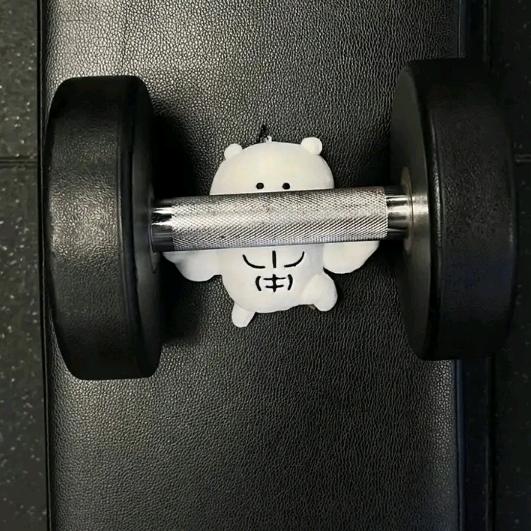 小y