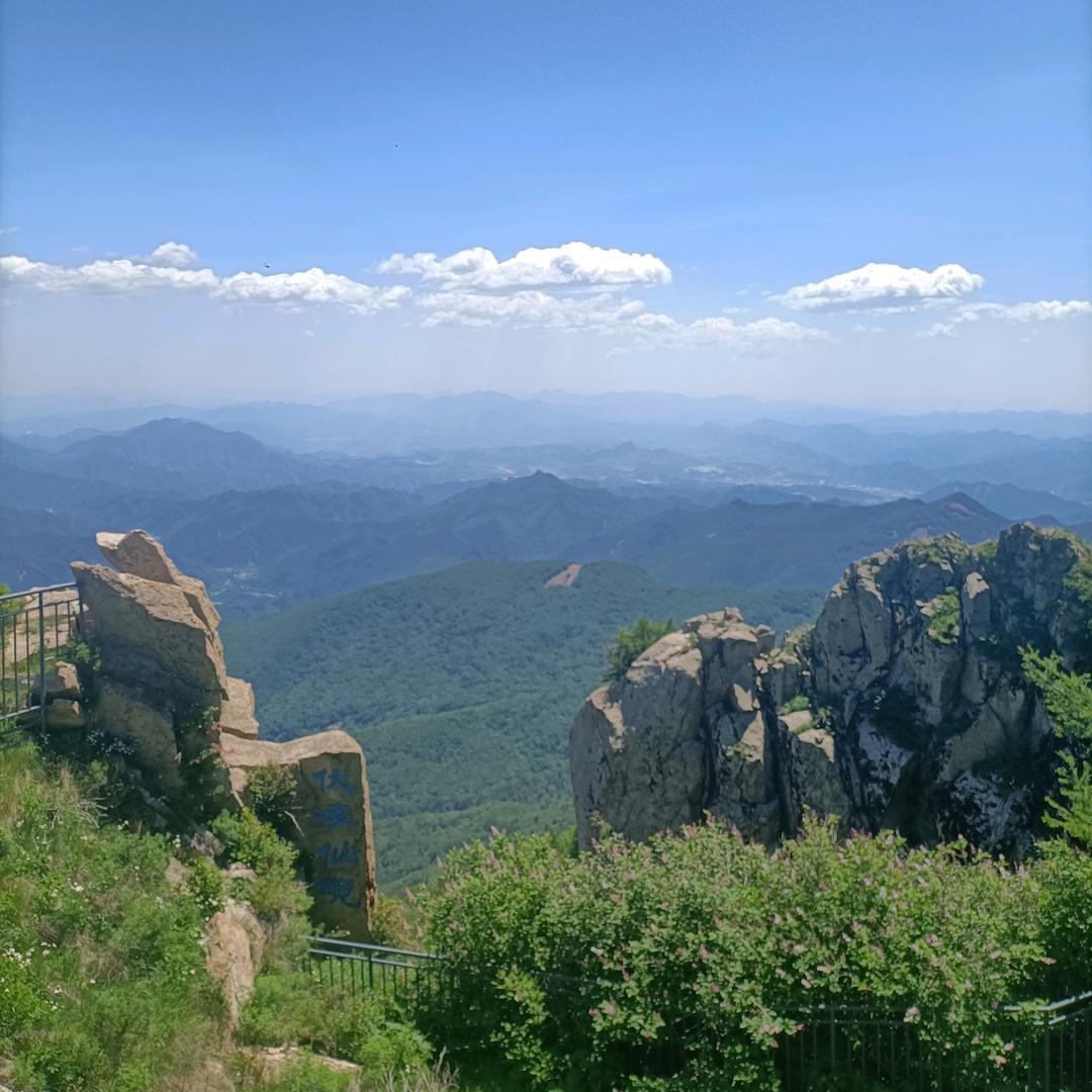 蓝鹰驾校姜玉华