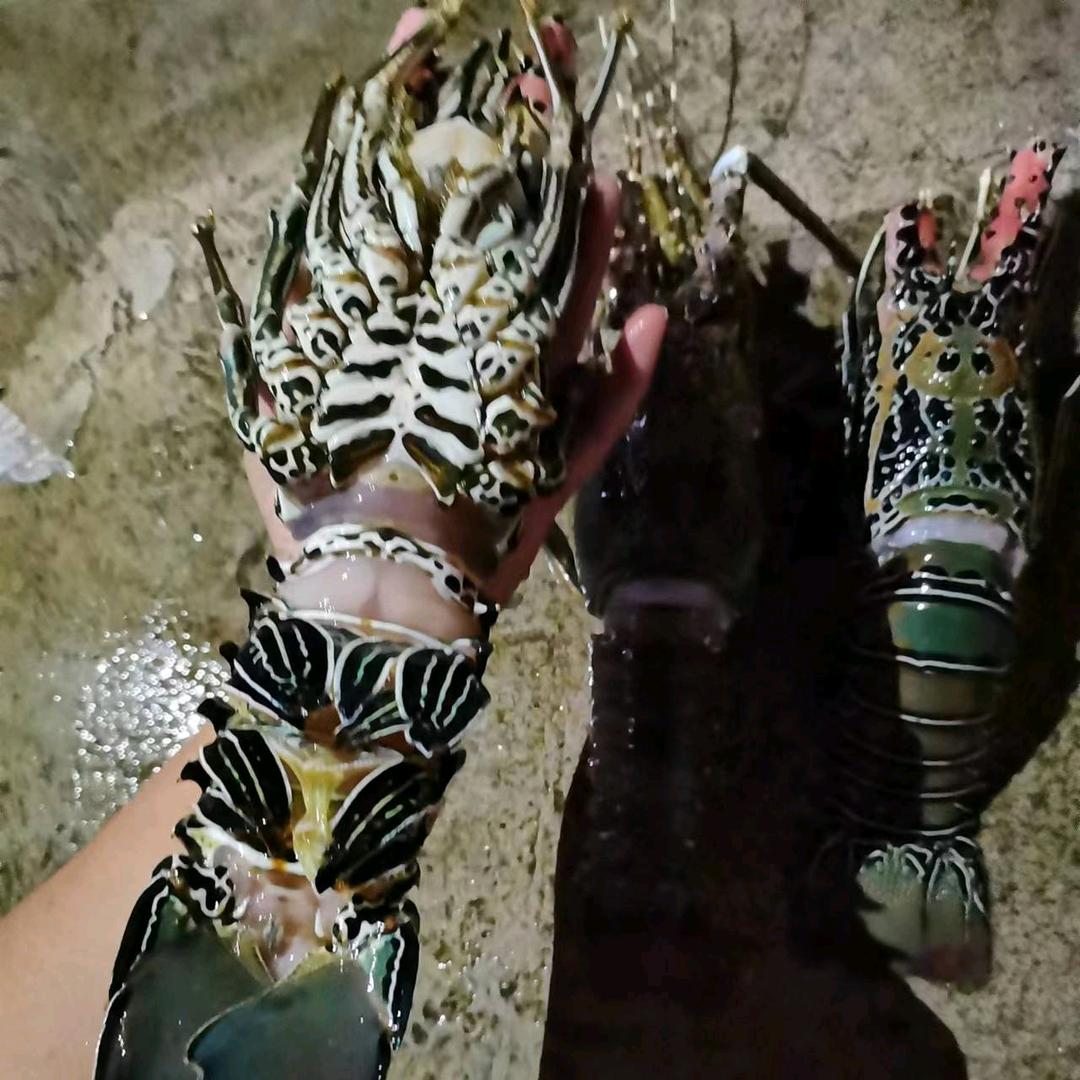 过好自己
