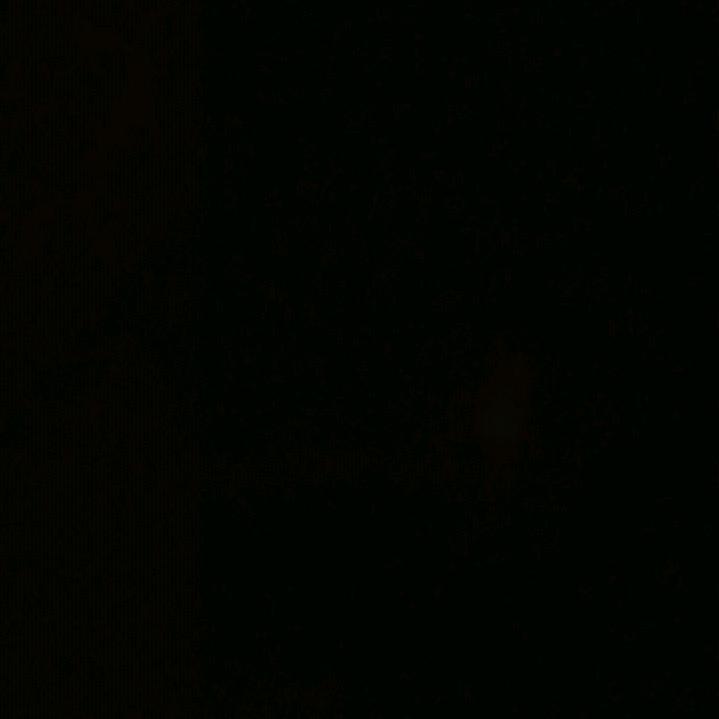 用户