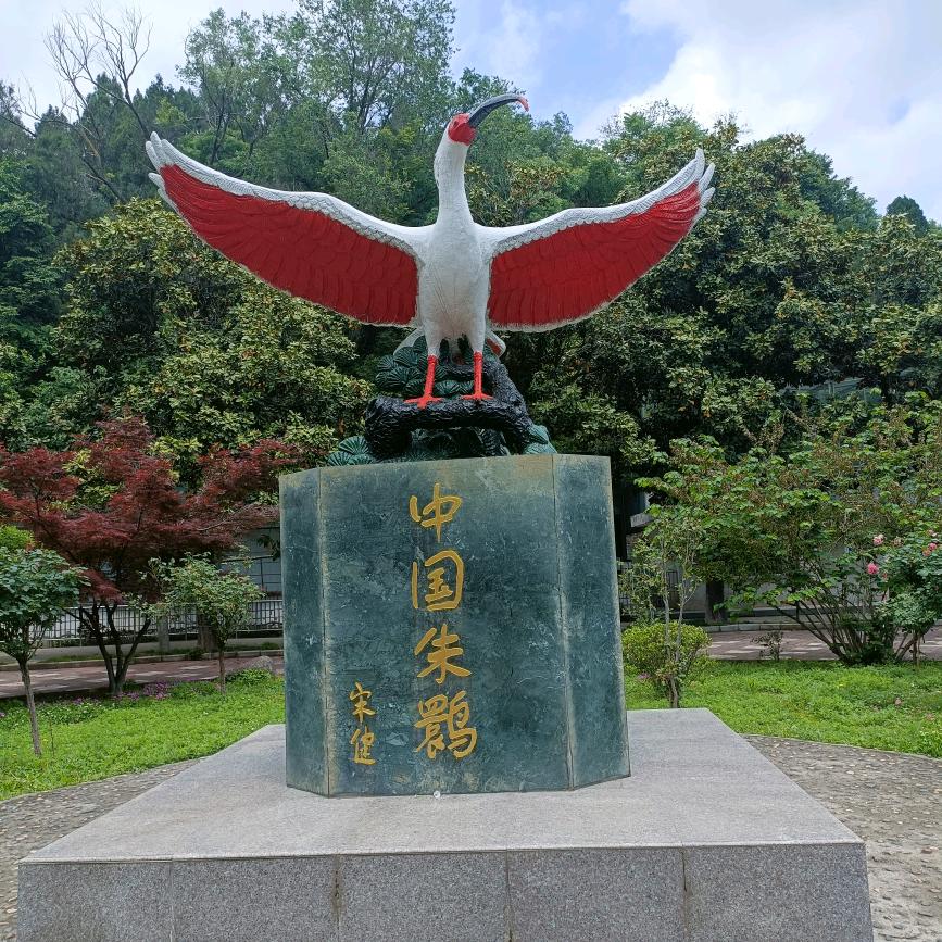 音旅逸梦