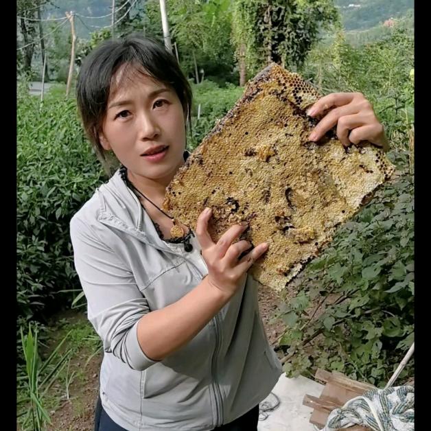 贝贝（农村养蜂）