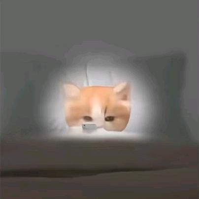 平凡世界