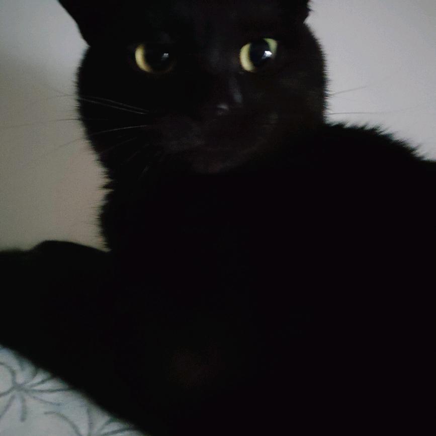 我在等你噢！！