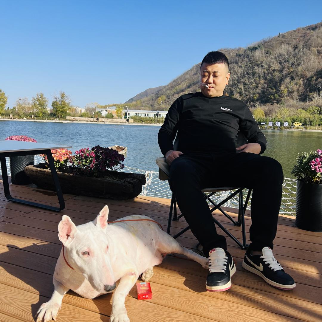 赛文以来文