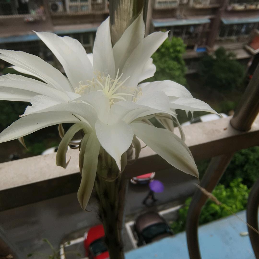 开心快乐每一天