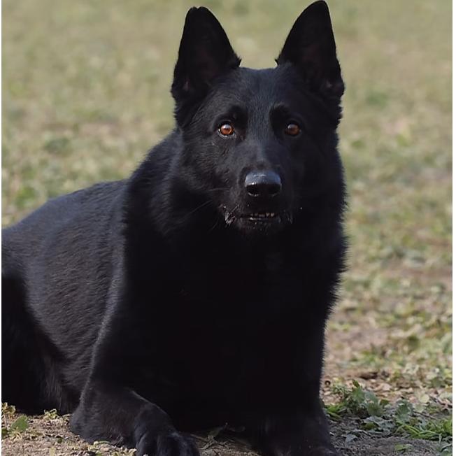 🔥我的人生🔥我做主🔥