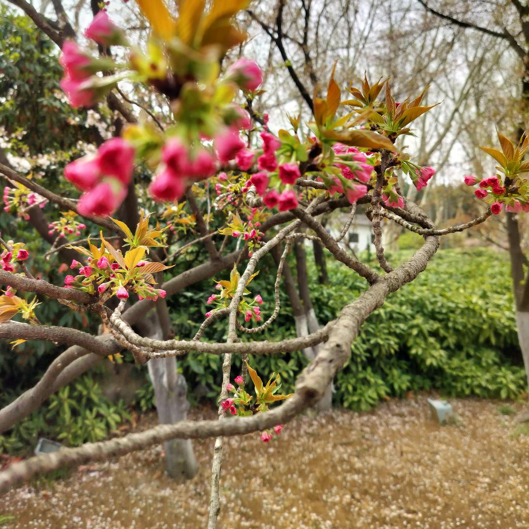 看透一切；！拒绝私聊