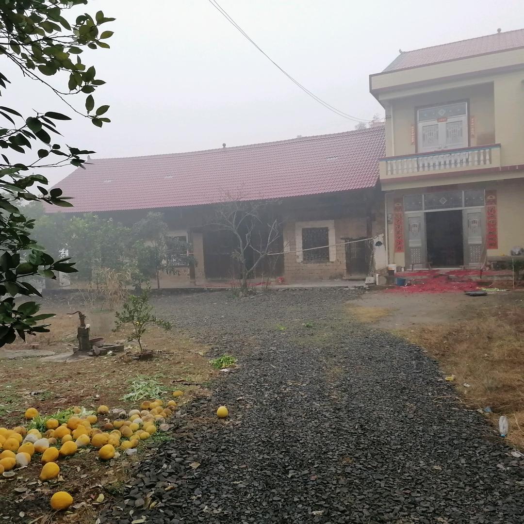 龙建设