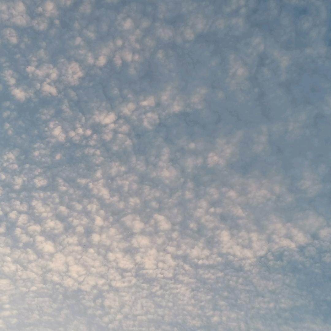 海盐不是言