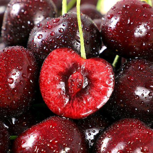 新发地亿盛生鲜