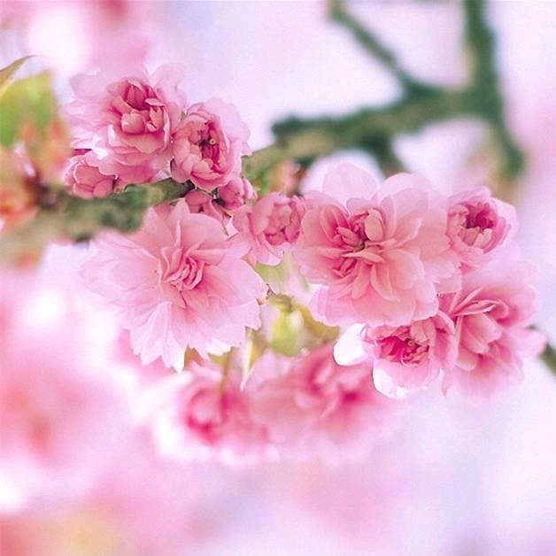 汇纳百川商贸