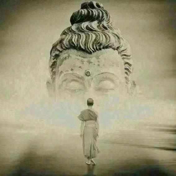 生抽老抽一起抽