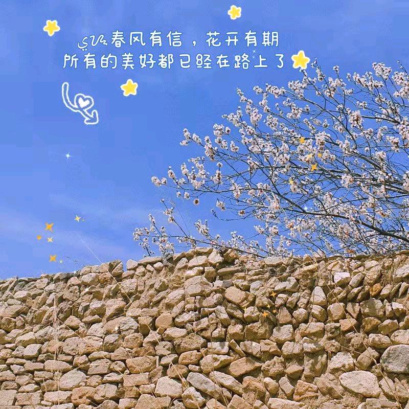 🌈🌈福运