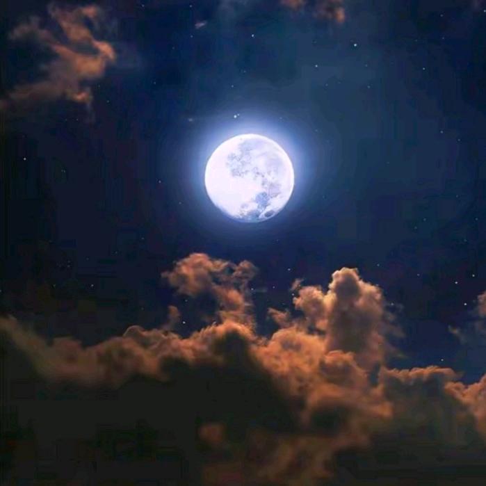 ༊ཽ伍马🐎奔腾ཽ༊