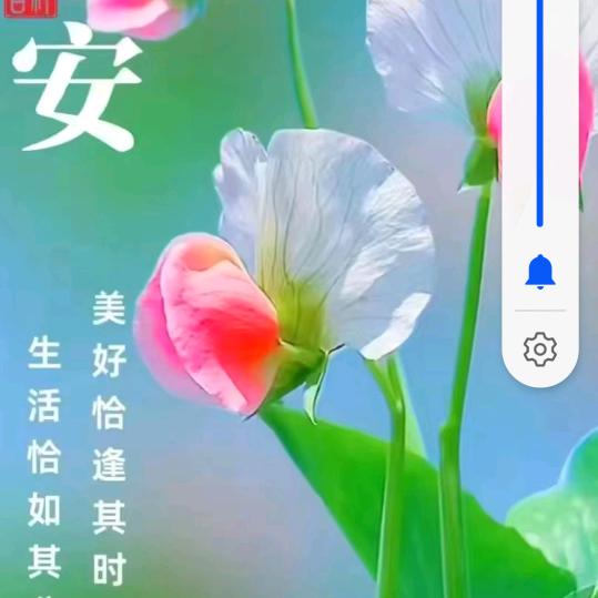 国