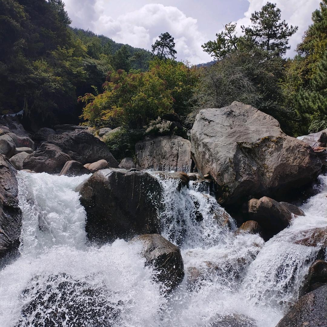 ༼ཟླ་བ་༽