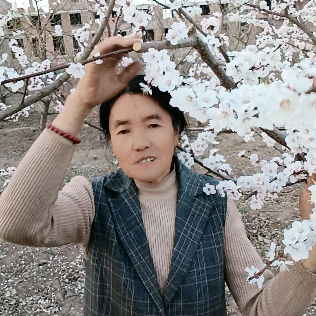 幸福女人88