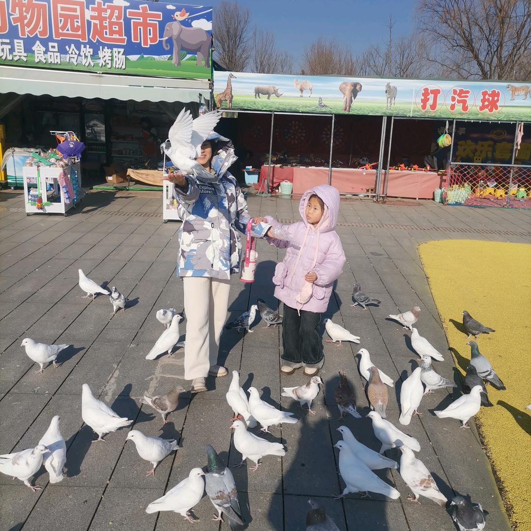 逐梦