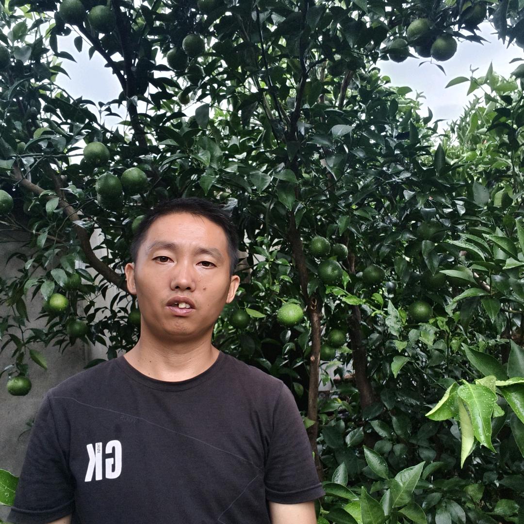小万说柑橘