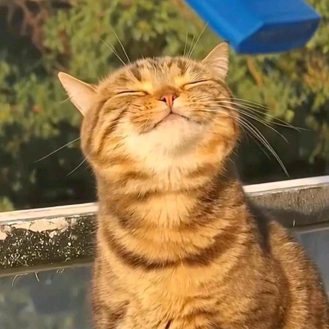 阳明