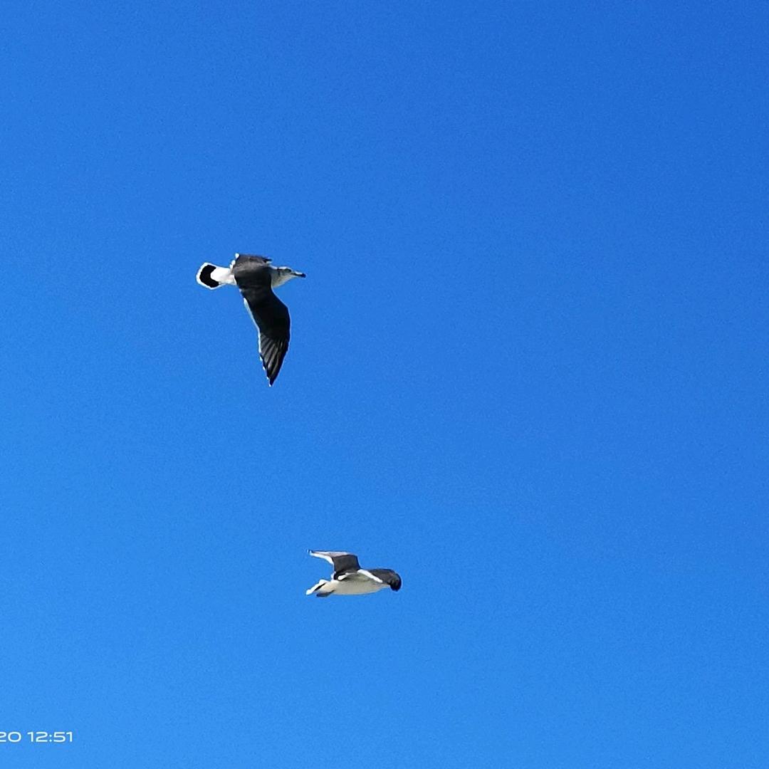 ౪ᩚ往事随风࿐