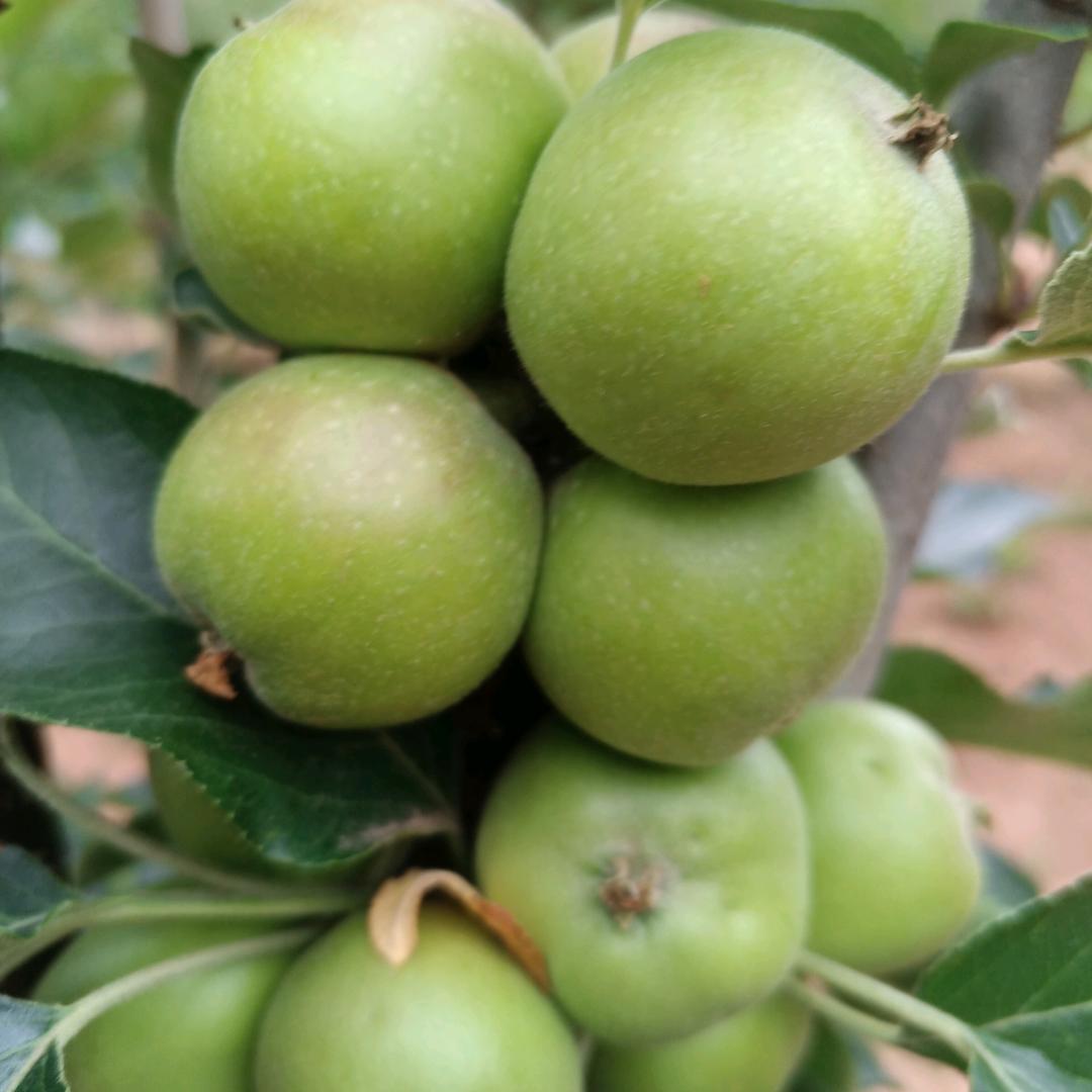 就是喜欢你🧚‍♂️🧚‍♀️