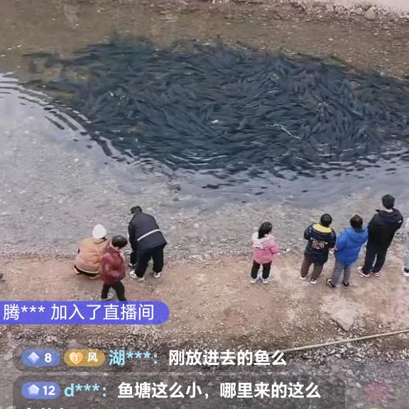 舜泽石油