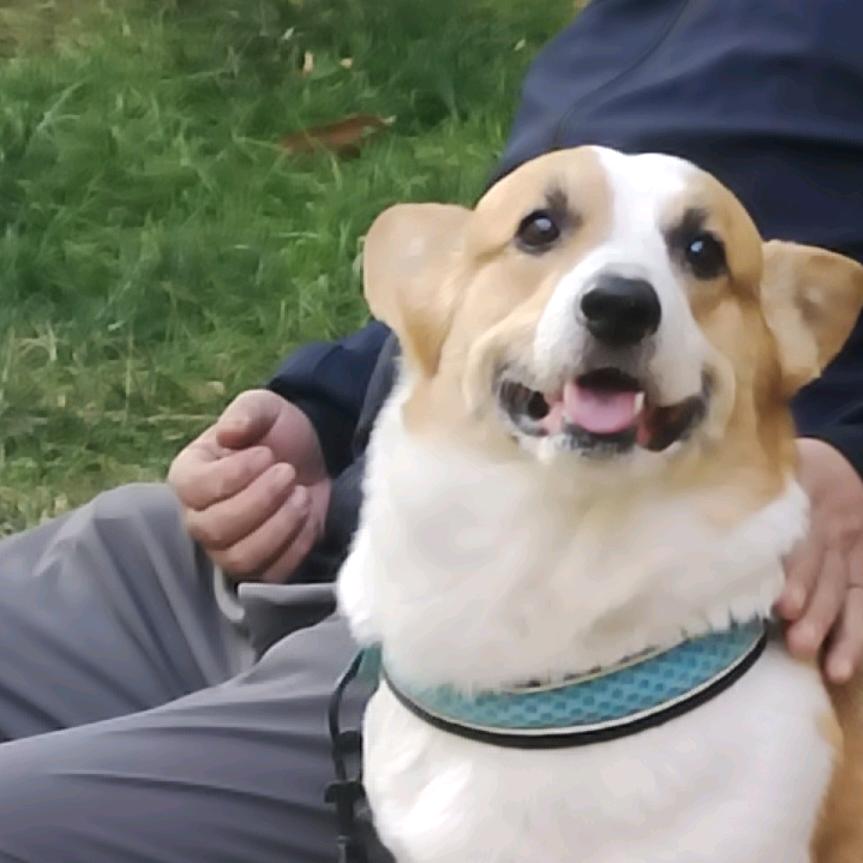 米粉哥哥和小吉弟弟