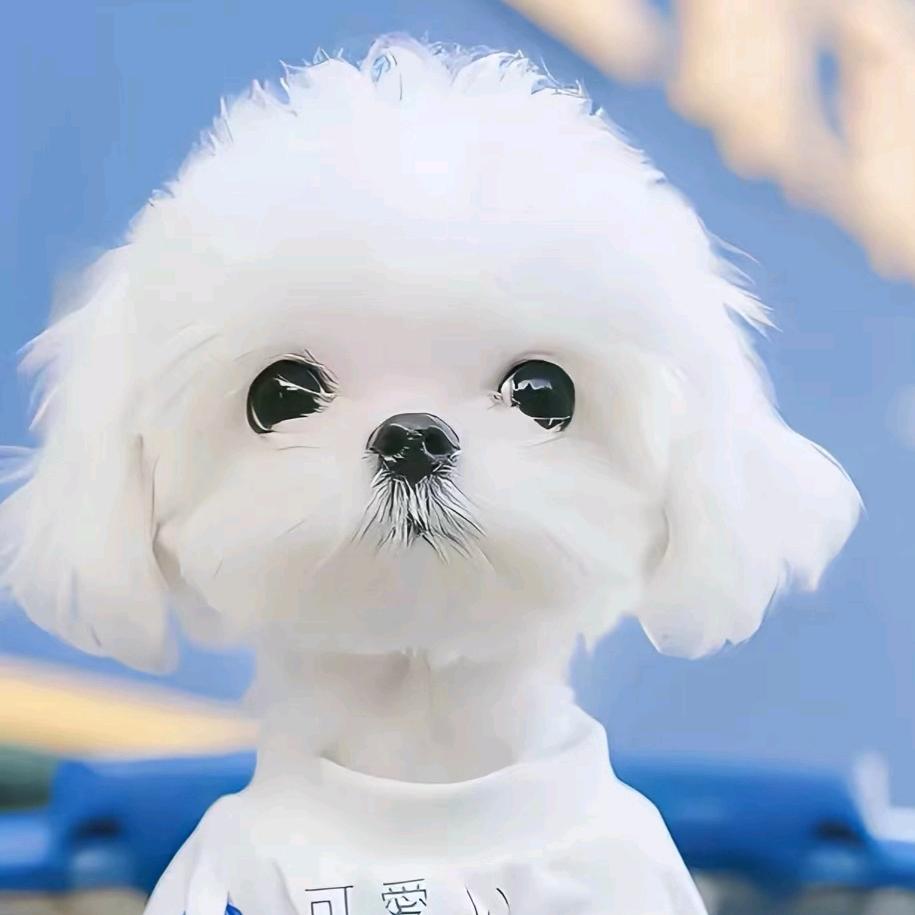 新力桌球  🎱辉
