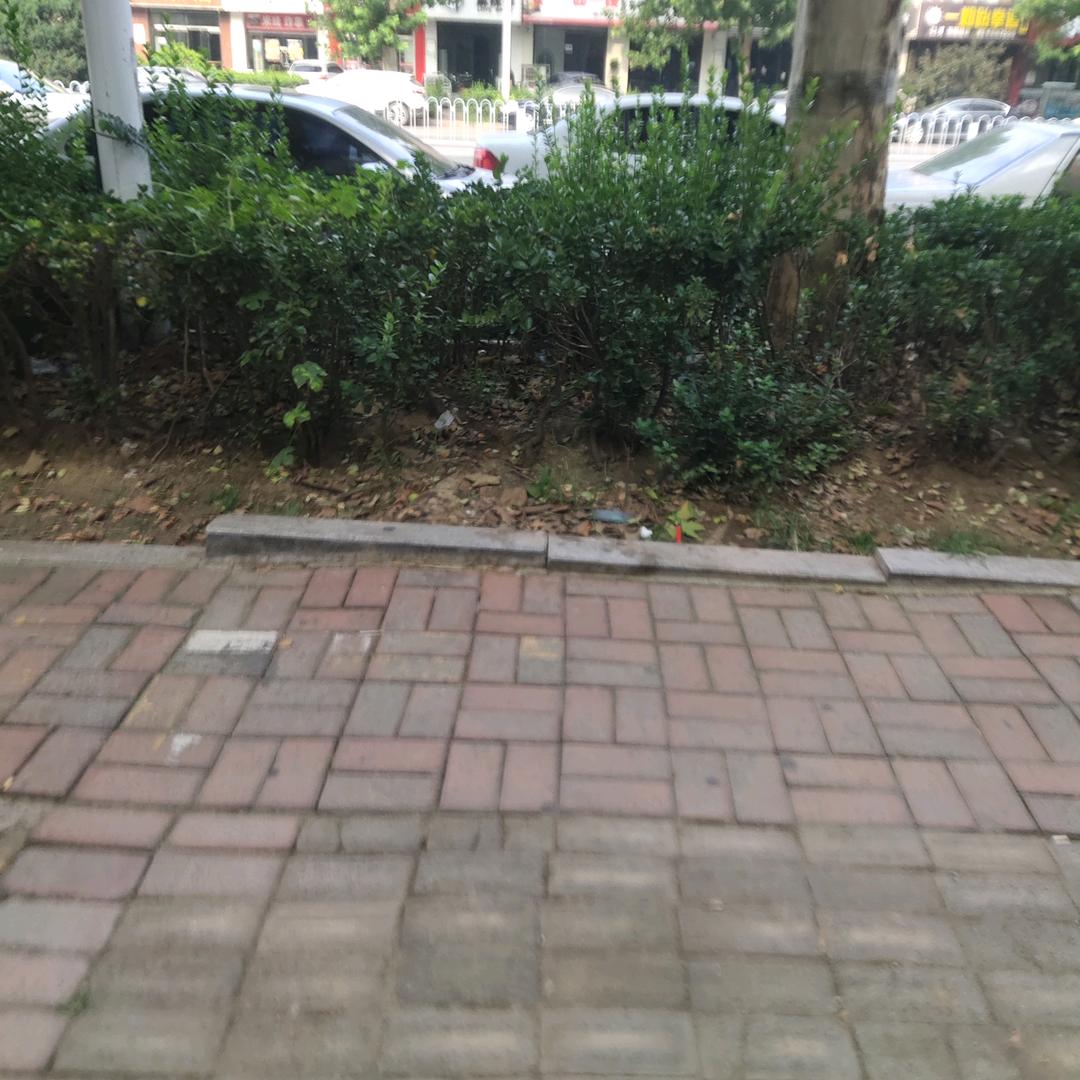 玩皮小子