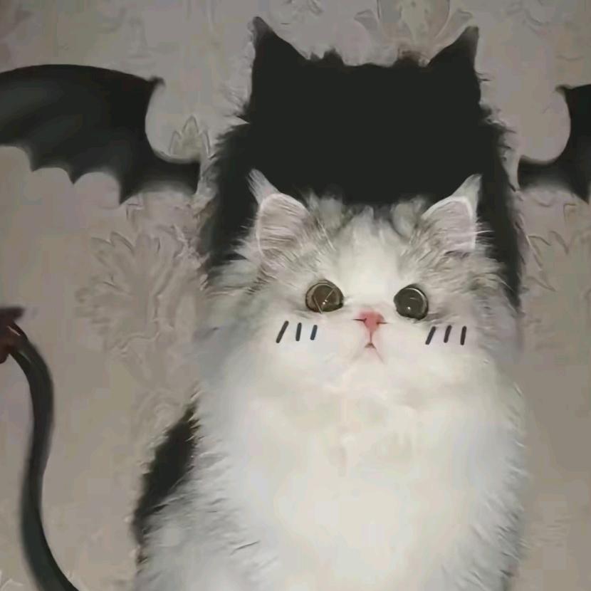 爱只能在回忆里吗