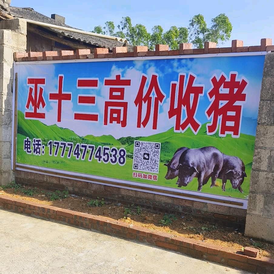 十三哥：生猪调运