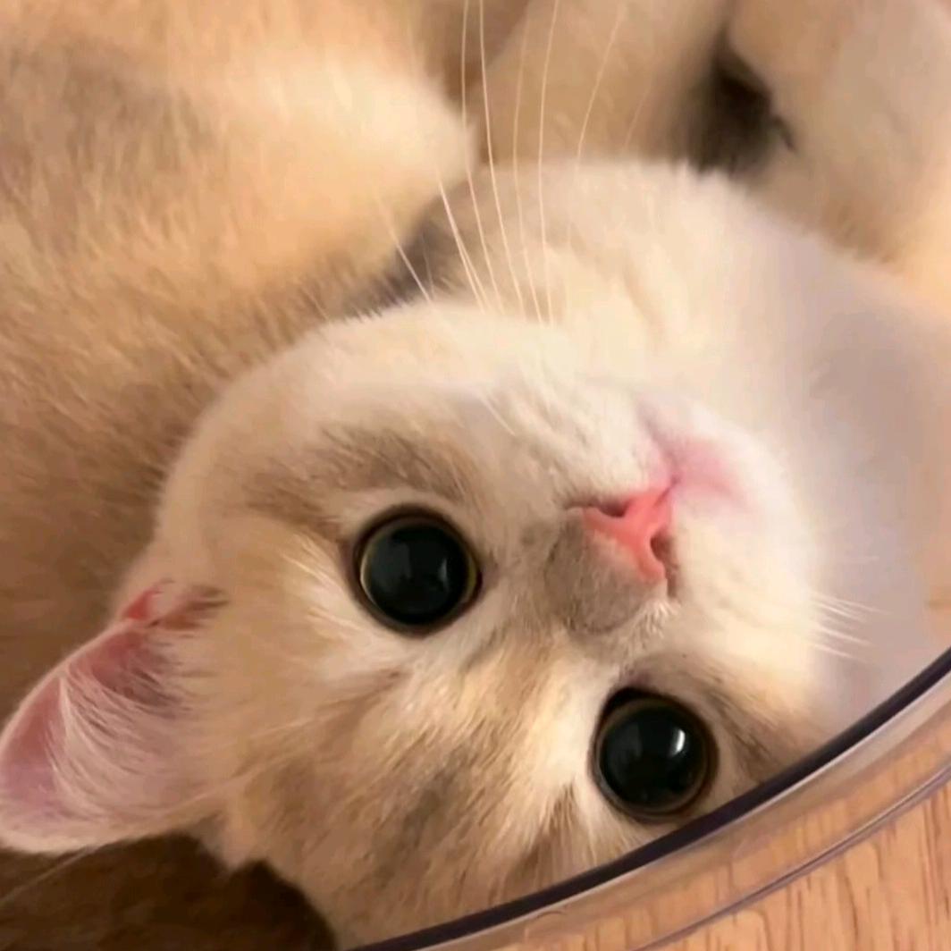 豆腐脑的咸甜之争