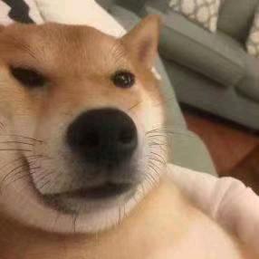 惜