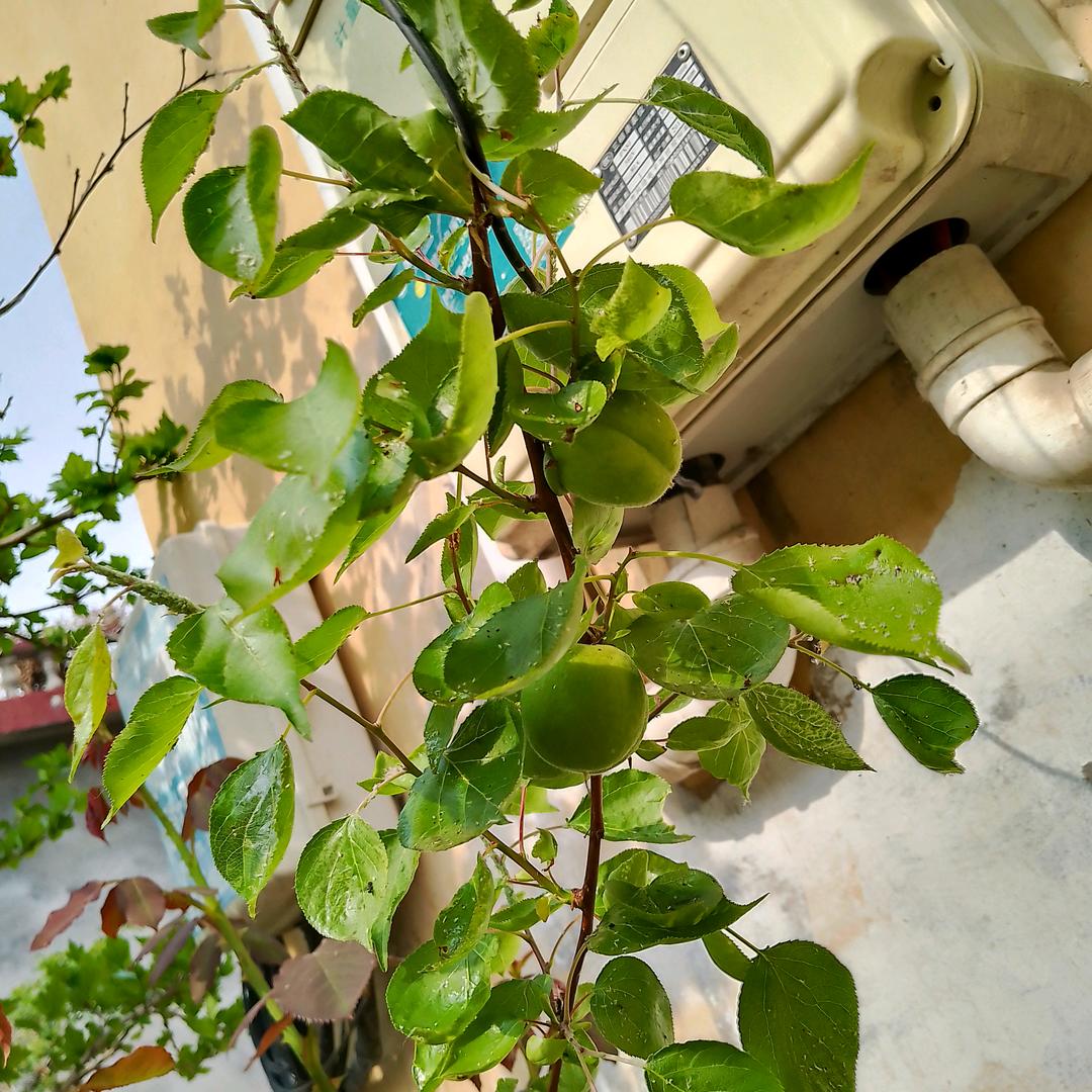 金云雀门窗，廖