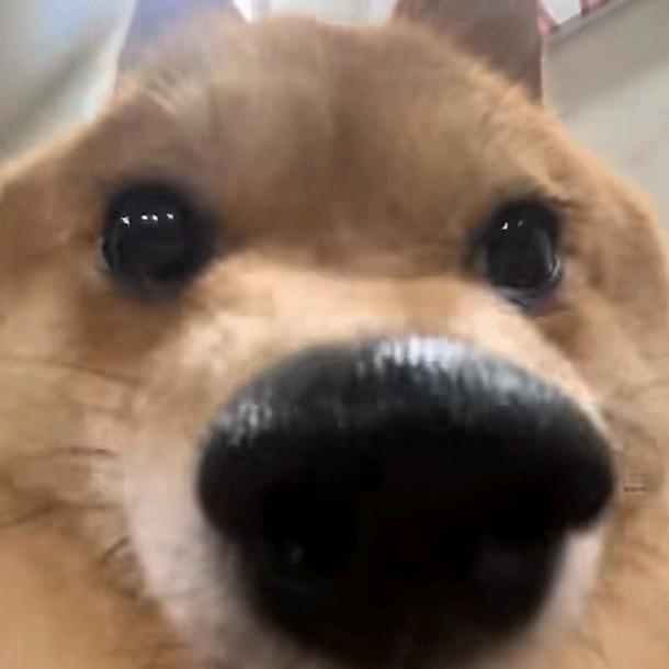 余晖(ㅅ´ 3`)♡
