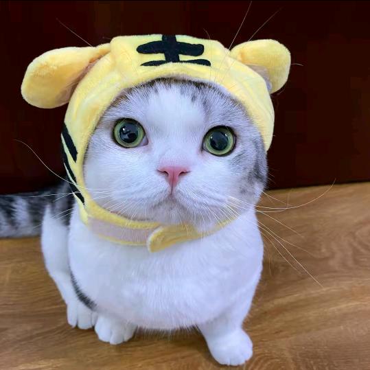 小仙女生活馆