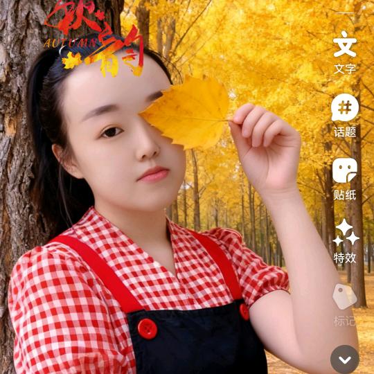 当爱已成往事🌸！！！！