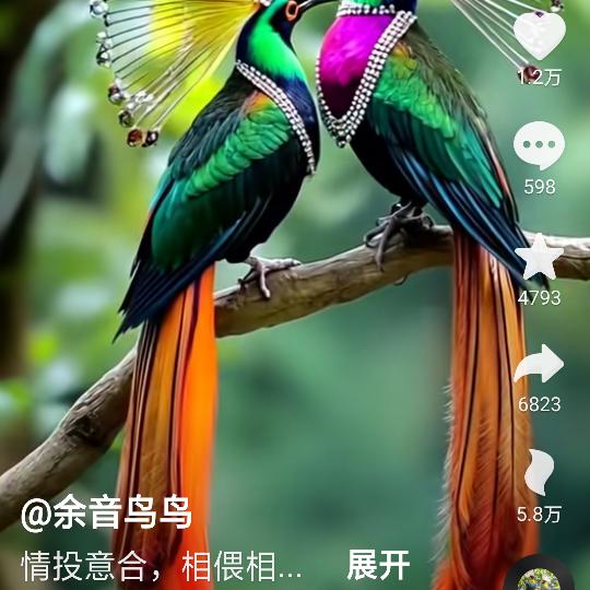 人心隔肚皮