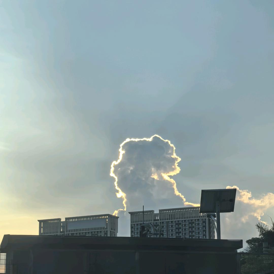雷零绿电