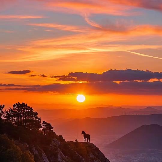 快乐6️⃣0️⃣后