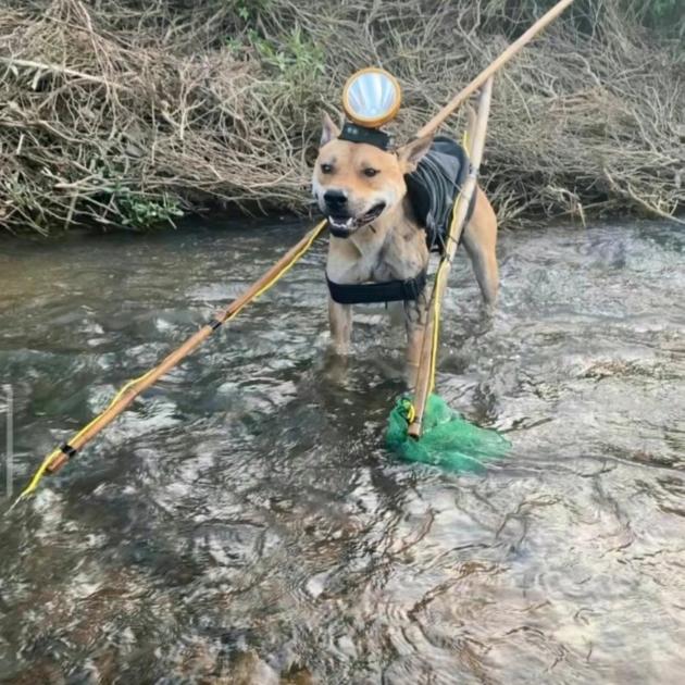 钓鱼的武狸