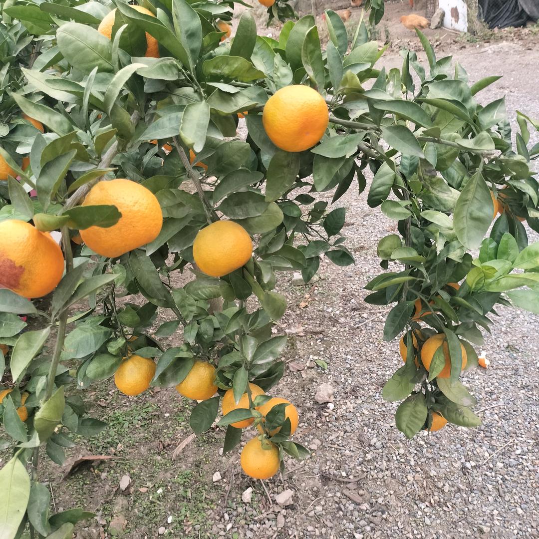 靠谁不如靠自己