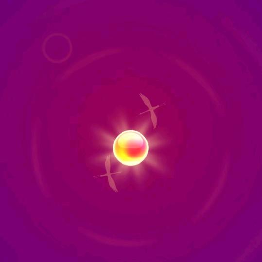 追光而遇☀