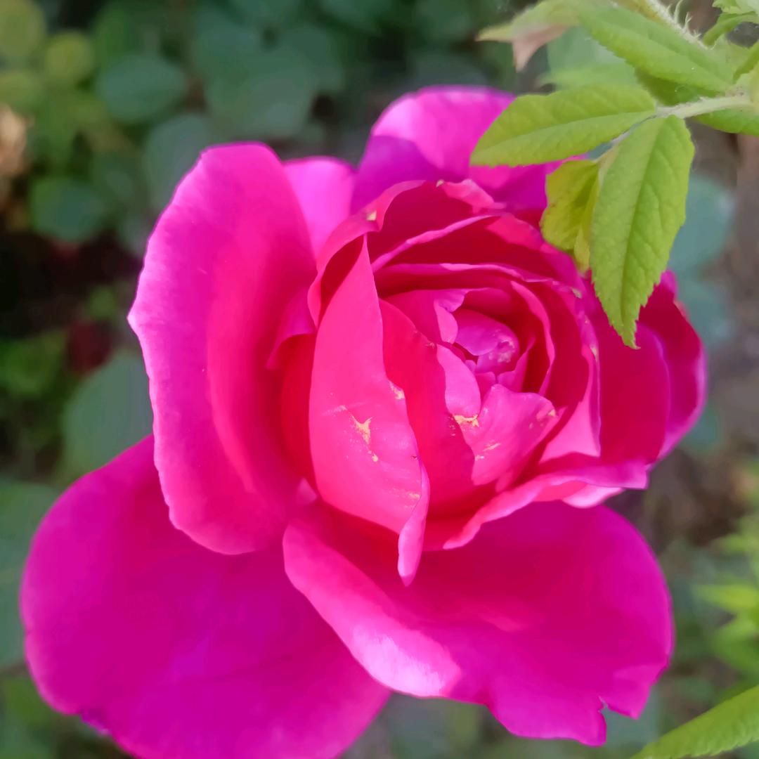 练练，防盗门，地板