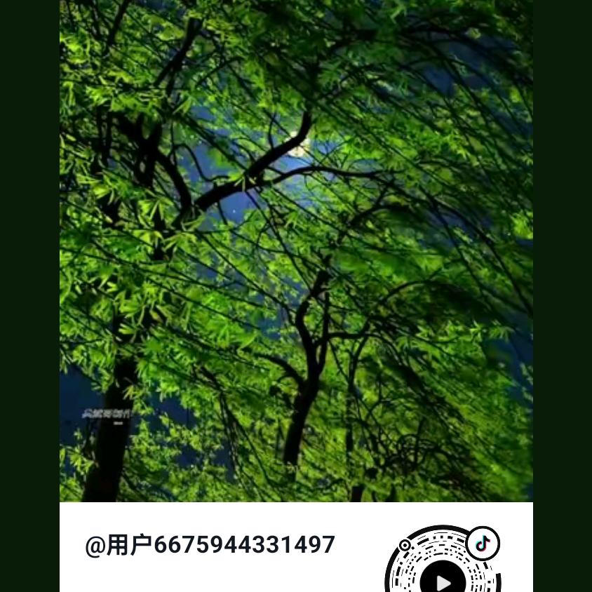 邱 ***平